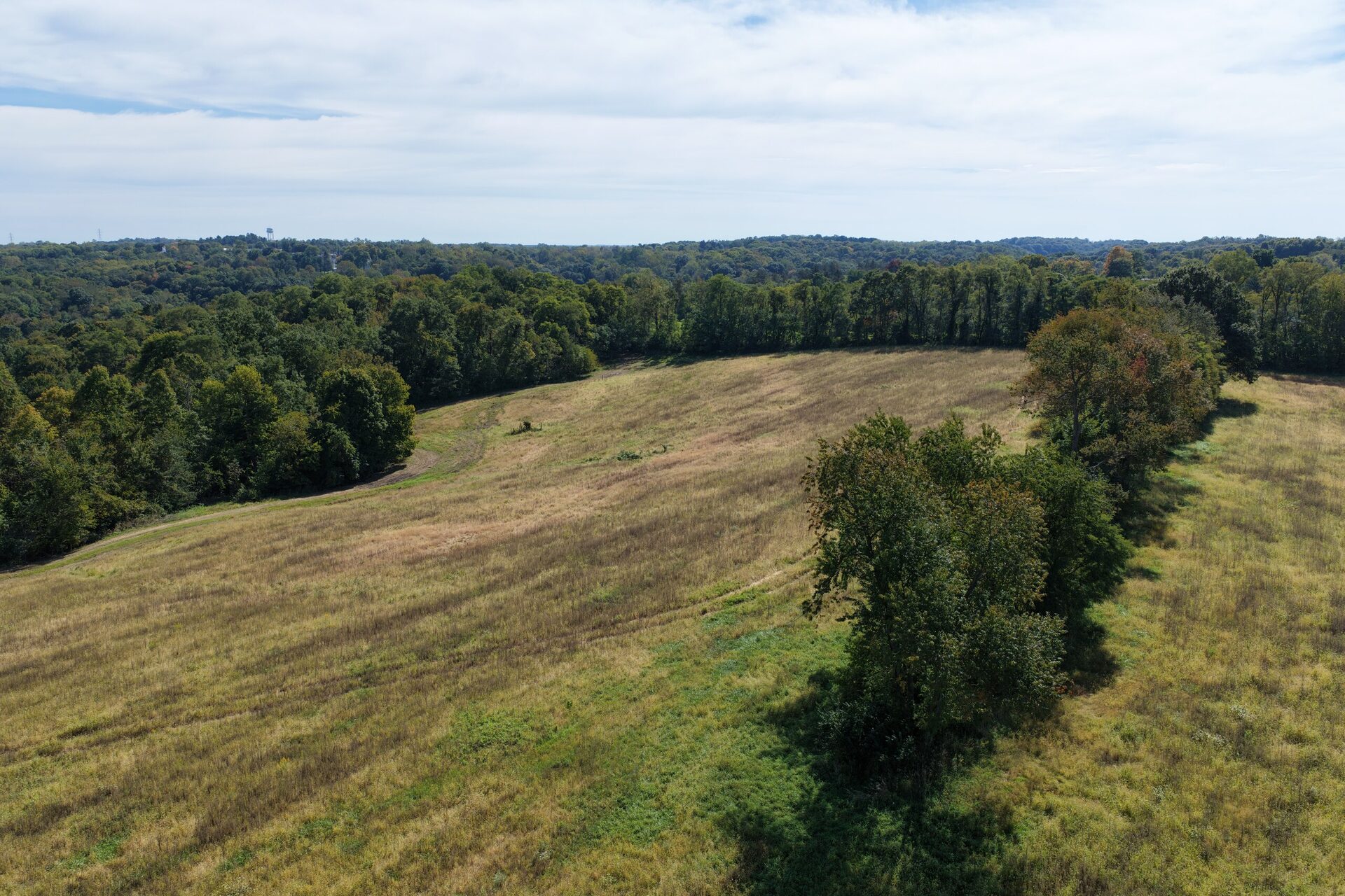 42 Acres with Open Ground and Woods in Fairfield County, OH - McCafferty Road NE Tract 3 - Photo 4
