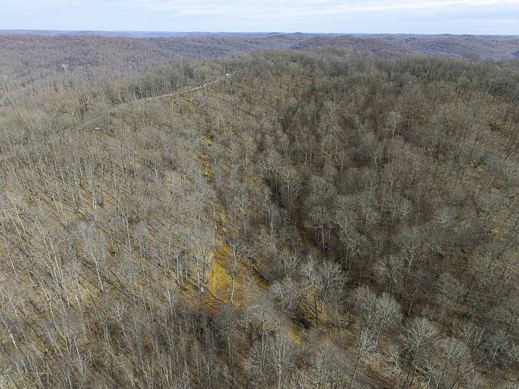49 Acres in Washington County, Ohio - Zion Road - Photo 11