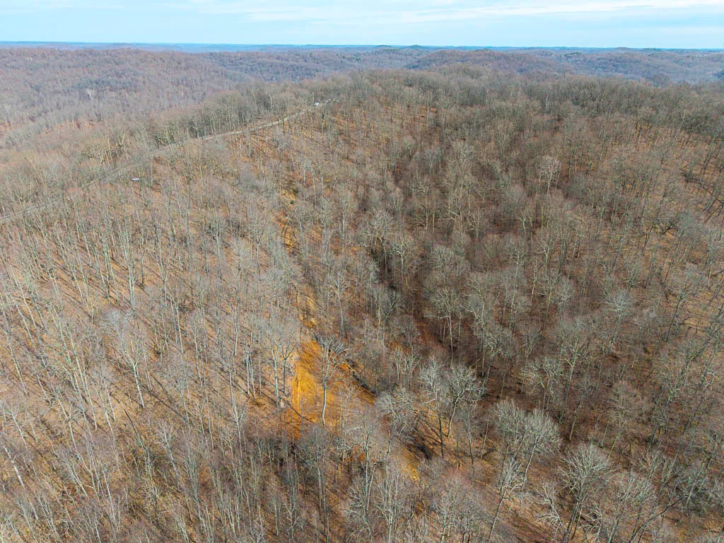 49 Acres in Washington County, Ohio - Zion Road - Photo 11