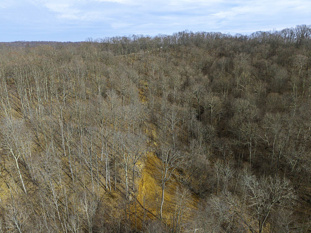 49 Acres in Washington County, Ohio - Zion Road - Photo 12