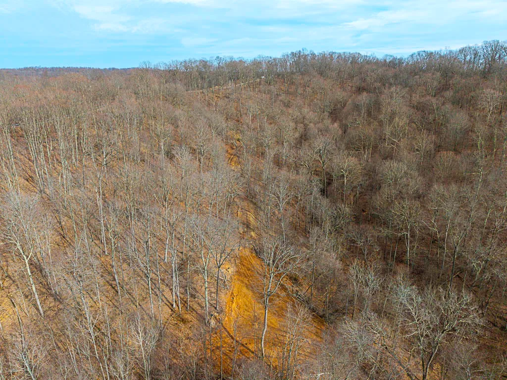 49 Acres in Washington County, Ohio - Zion Road - Photo 12