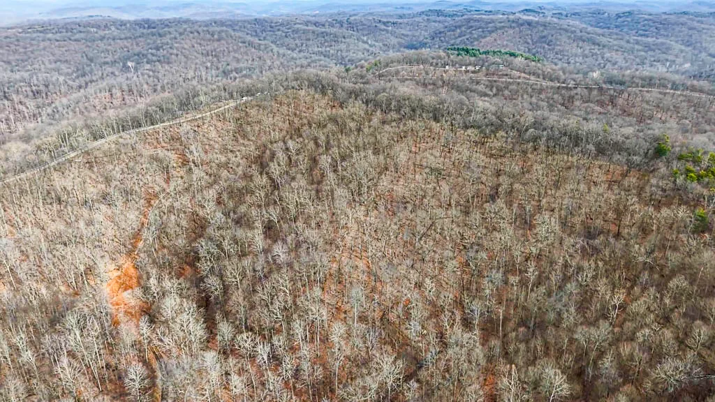 49 Acres in Washington County, Ohio - Zion Road - Photo 13