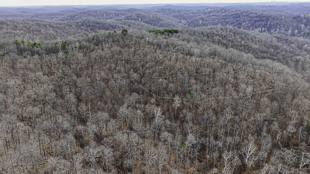 49 Acres in Washington County, Ohio - Zion Road - Photo 14