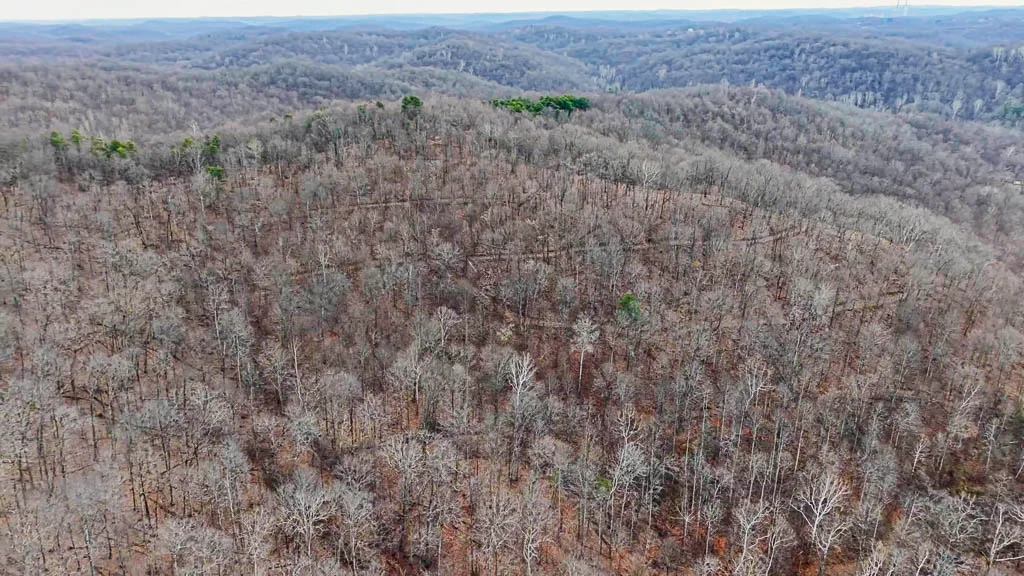 49 Acres in Washington County, Ohio - Zion Road - Photo 14