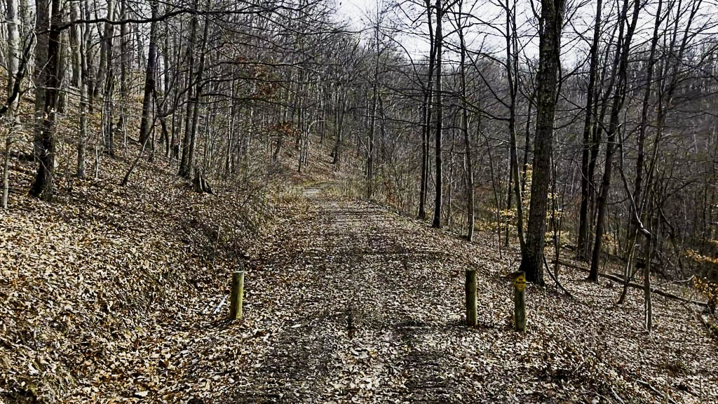 49 Acres in Washington County, Ohio - Zion Road - Photo 15