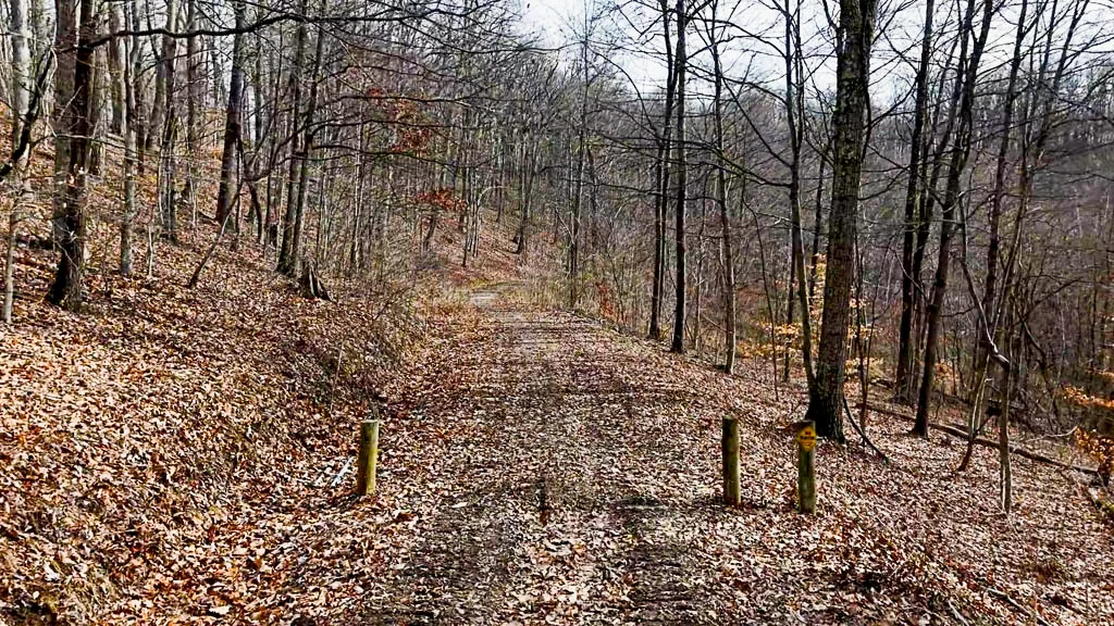 49 Acres in Washington County, Ohio - Zion Road - Photo 15