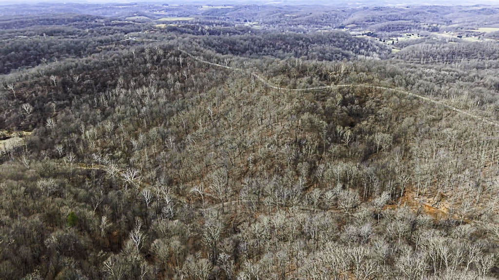 49 Acres in Washington County, Ohio - Zion Road - Photo 3