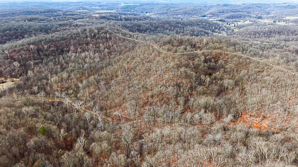 49 Acres in Washington County, Ohio - Zion Road - Photo 3