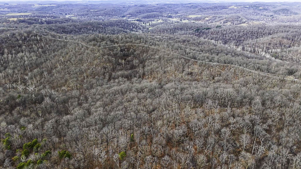 49 Acres in Washington County, Ohio - Zion Road - Photo 5