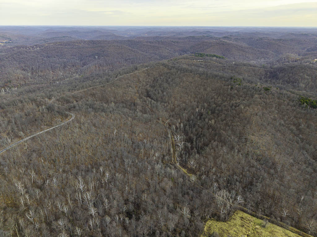 49 Acres in Washington County, Ohio - Zion Road - Photo 6