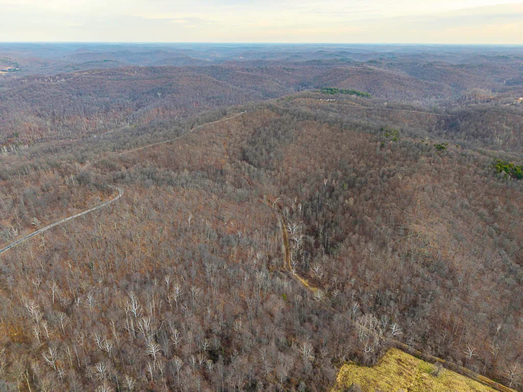 49 Acres in Washington County, Ohio - Zion Road - Photo 6