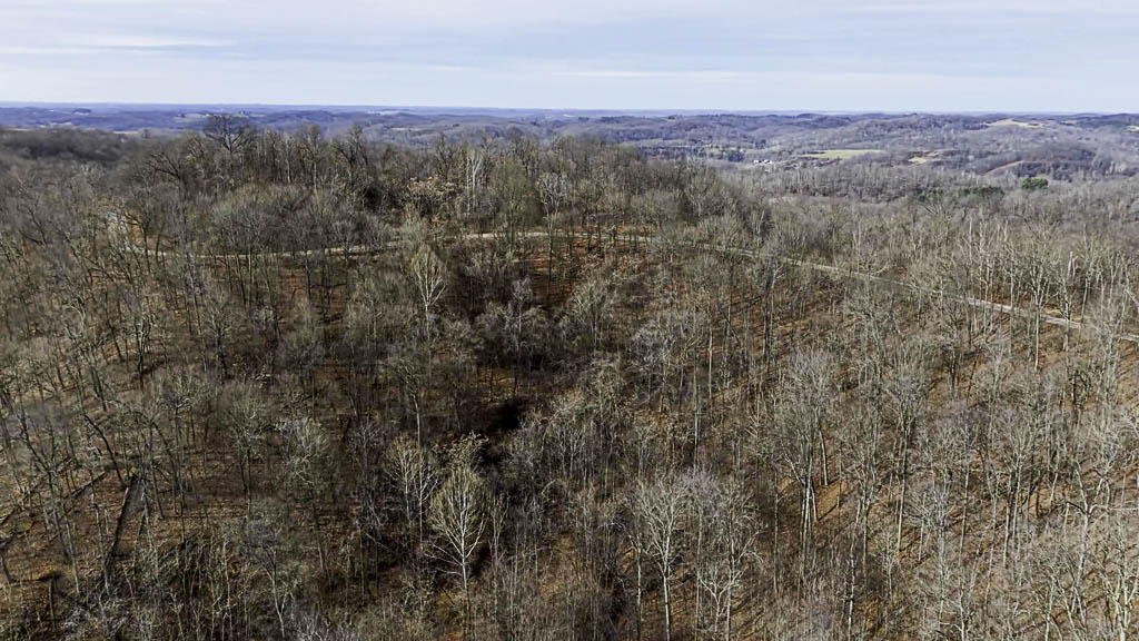 49 Acres in Washington County, Ohio - Zion Road - Photo 7