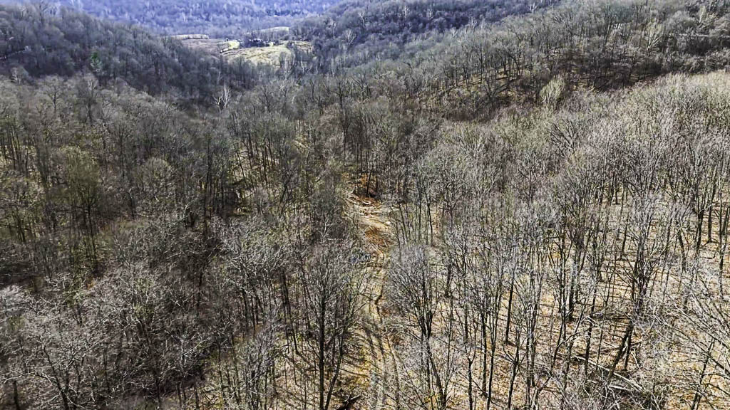 49 Acres in Washington County, Ohio - Zion Road - Photo 10