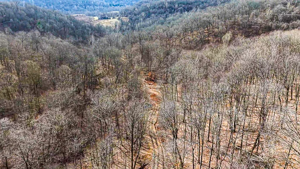 49 Acres in Washington County, Ohio - Zion Road - Photo 10