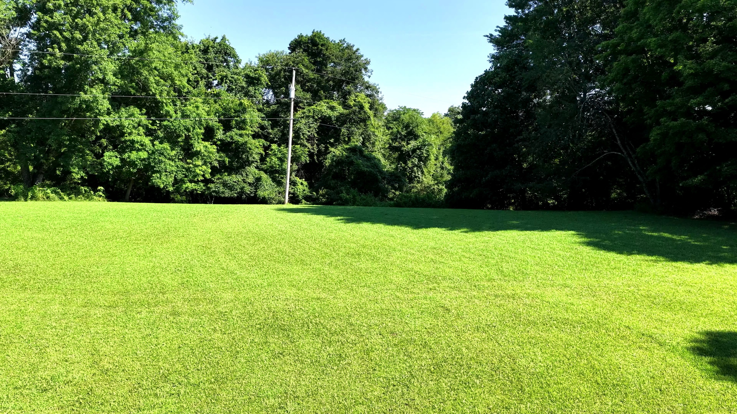 5.1 Acres in Washington County, OH - Wildwood Lake Road Tract 1 - Photo 4