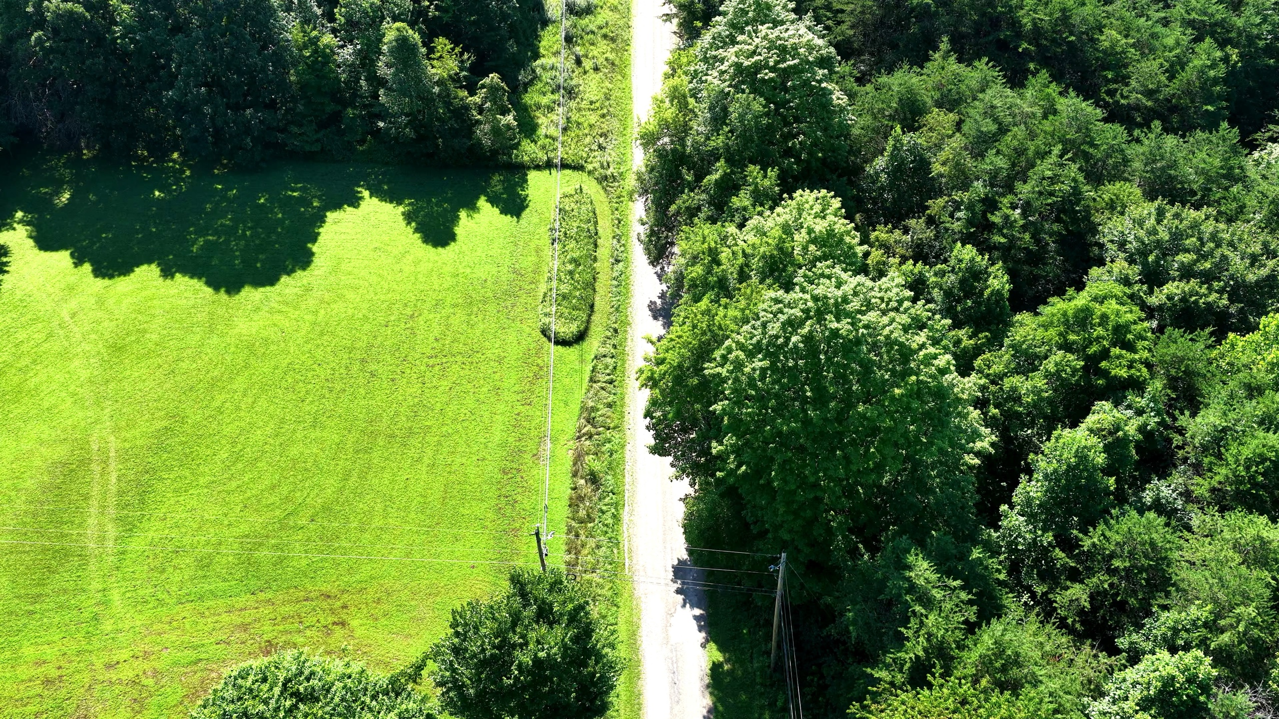 5.1 Acres in Washington County, OH - Wildwood Lake Road Tract 1 - Photo 5