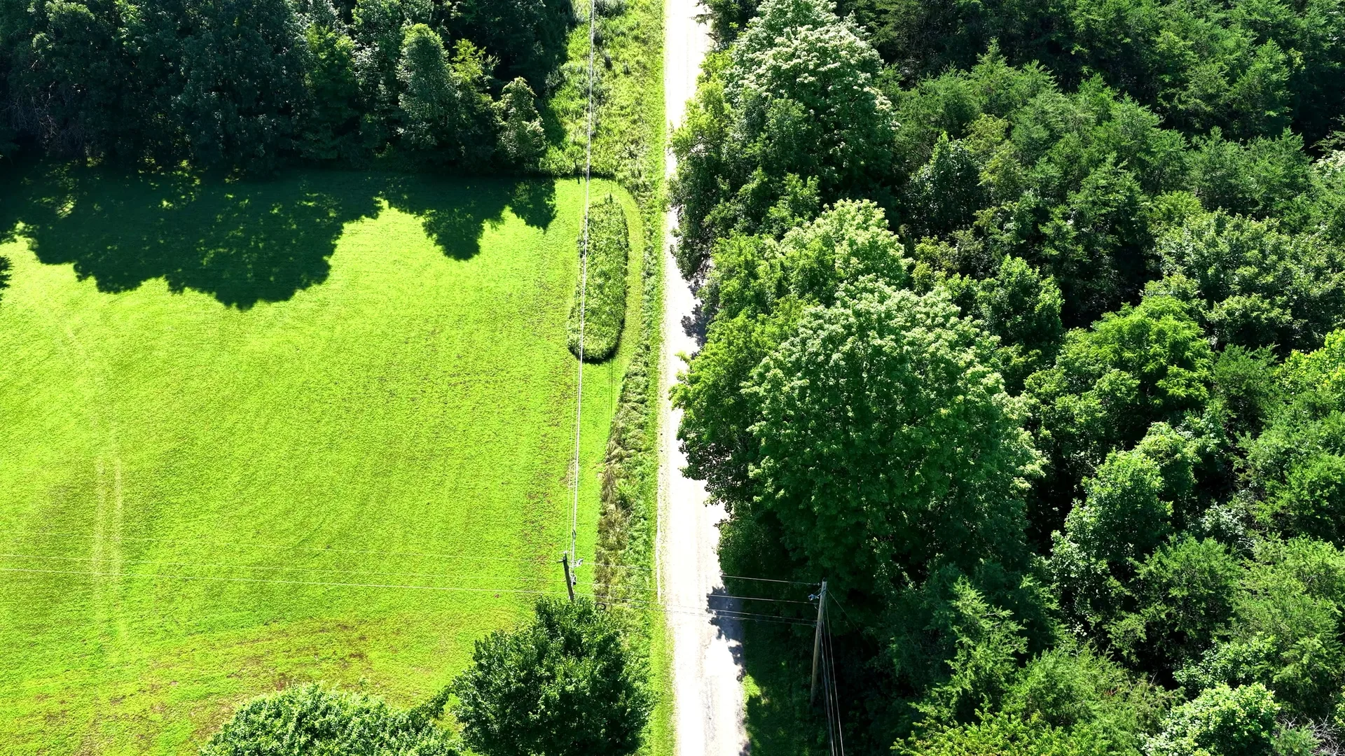 5 Acres in Washington County, OH - Wildwood Lake Road Tract 1 - Photo 6