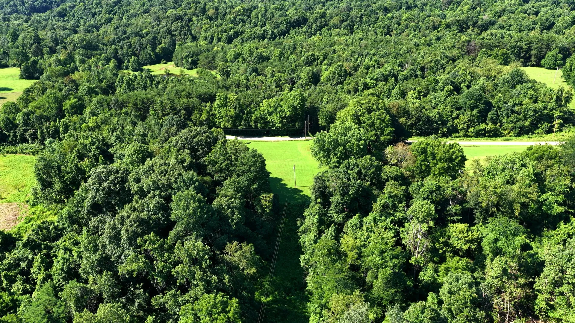 5 Acres in Washington County, OH - Wildwood Lake Road Tract 1 - Photo 8