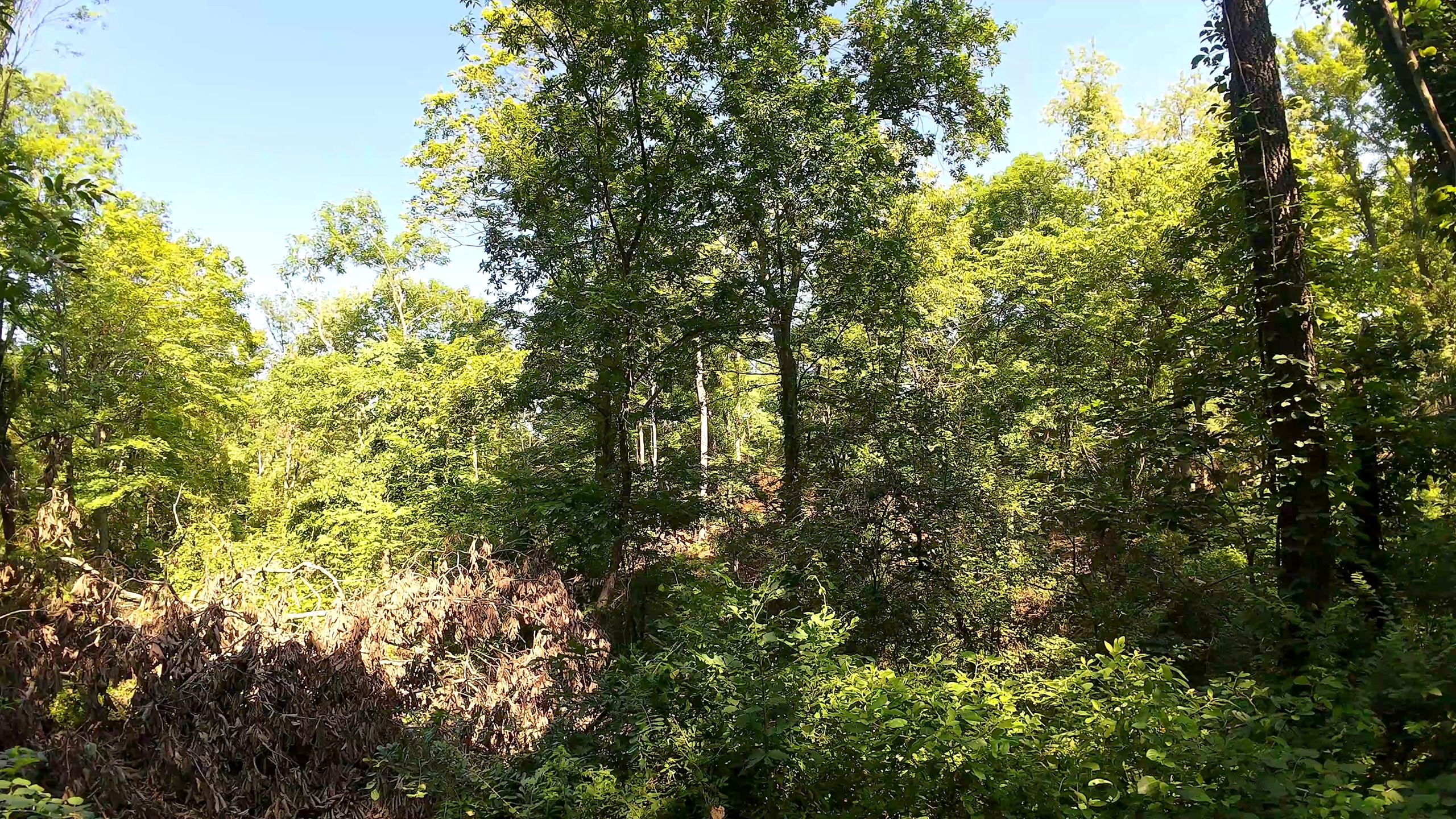 5.1 Acres in Washington County, OH - Wildwood Lake Road Tract 1 - Photo 9