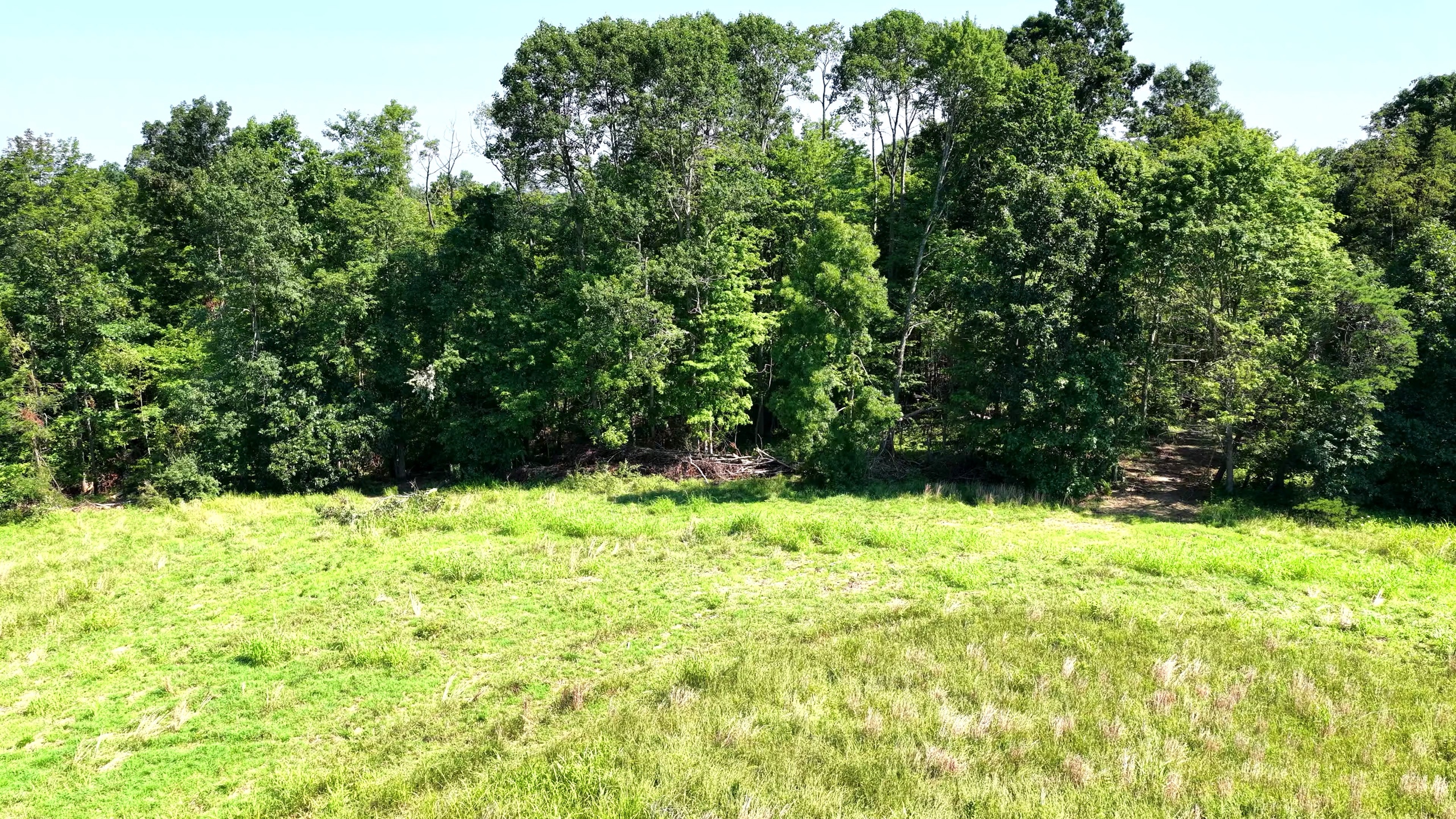 5.1 Acres in Washington County, OH - Wildwood Lake Road Tract 5 - Photo 6