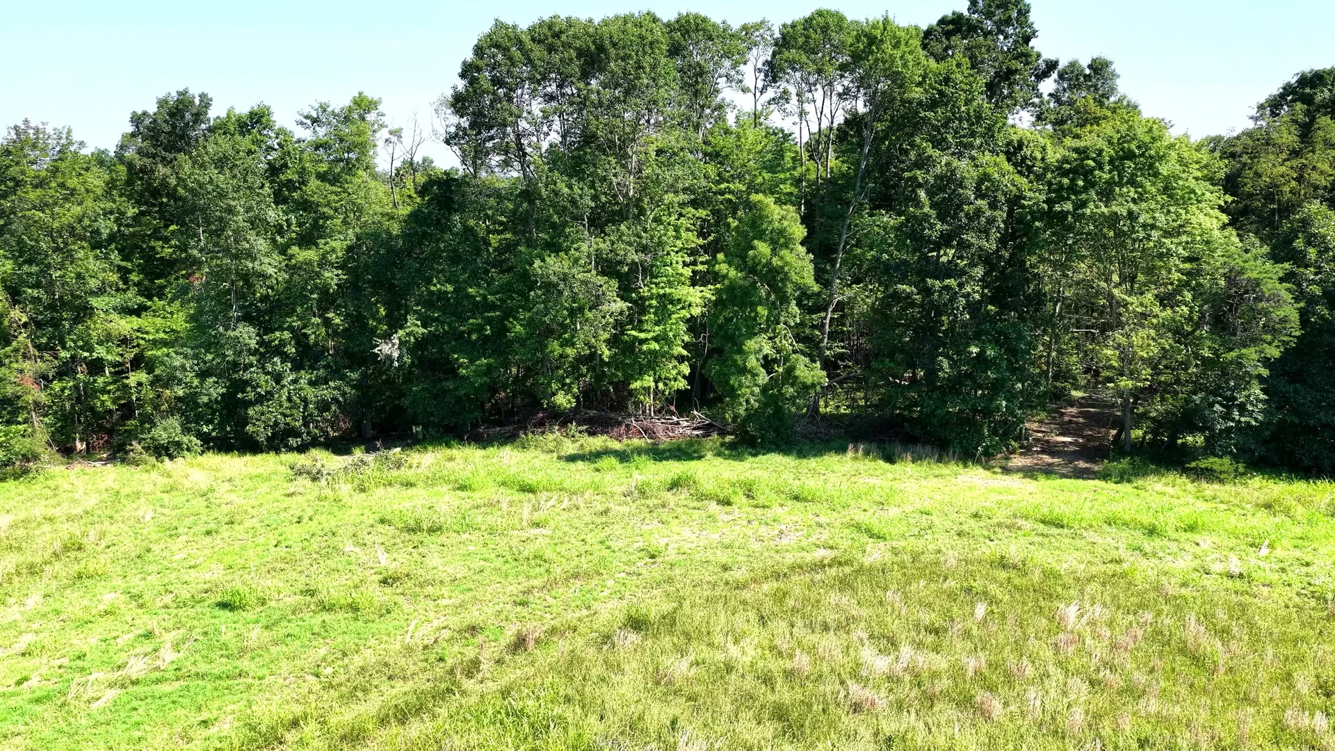 5 Acres in Washington County, OH - Wildwood Lake Road Tract 5 - Photo 7