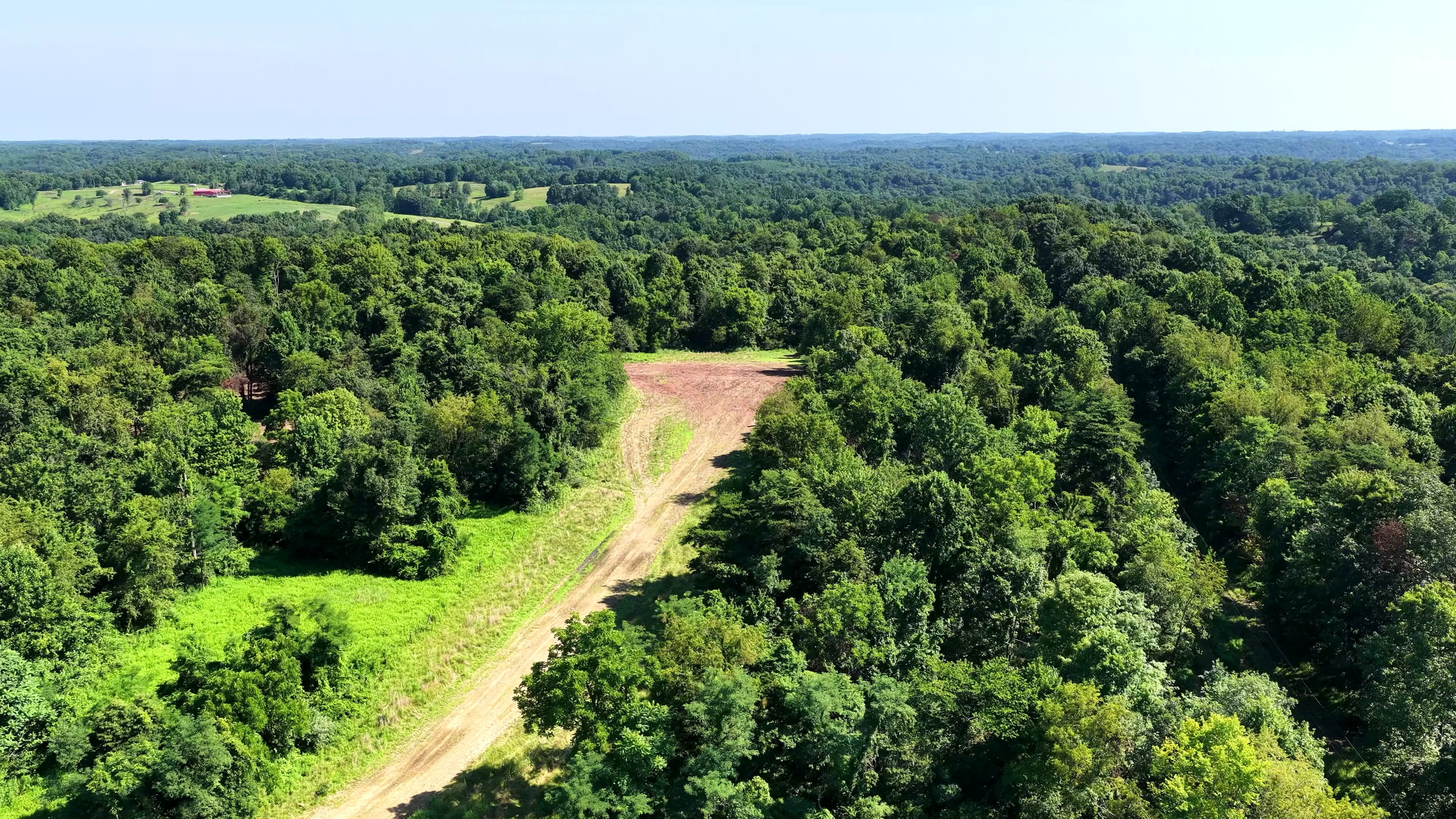 70 Acres of Hunting Land in Washington County, OH - Wildwood Lake Road Tract 3 - Photo 3