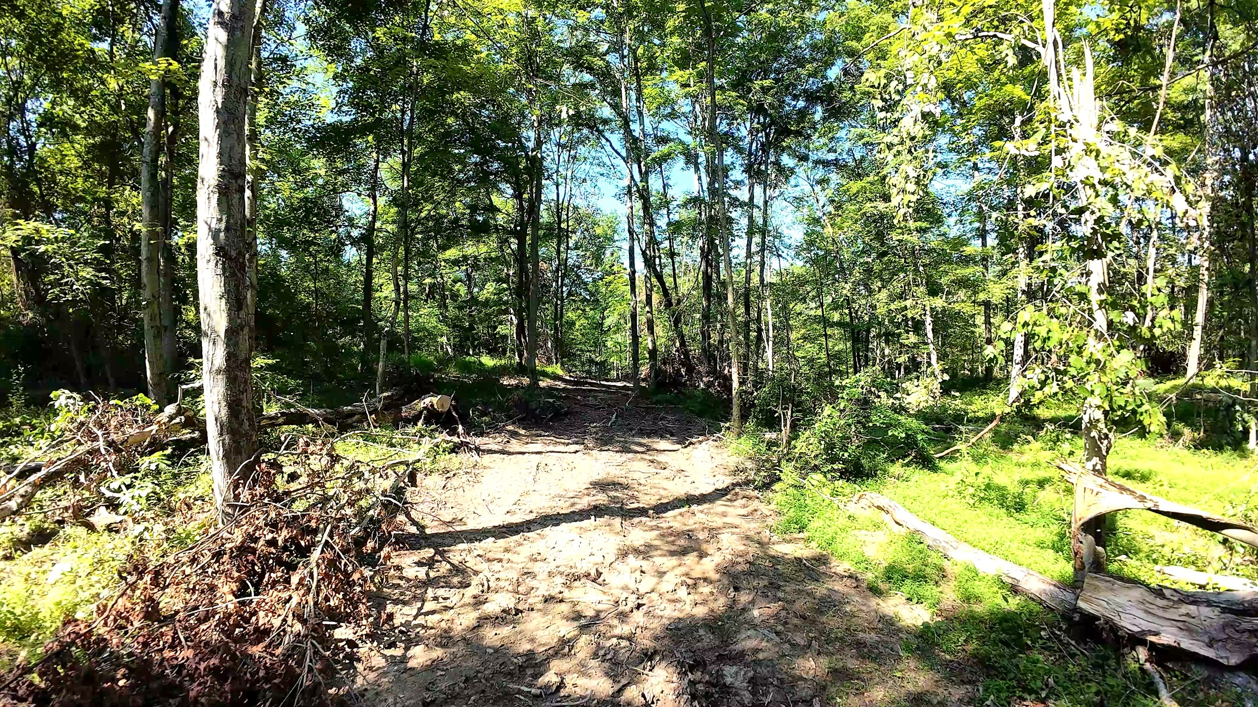 70 Acres of Hunting Land in Washington County, OH - Wildwood Lake Road Tract 3 - Photo 8