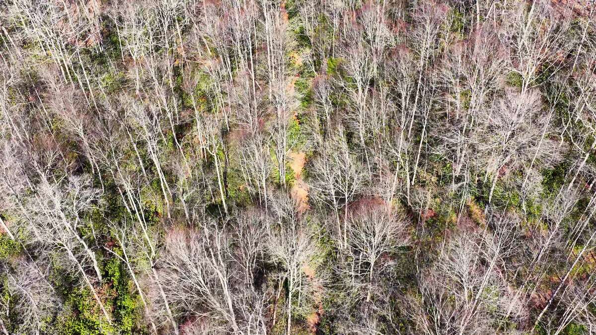0 Deepwater Rd - 78 Acres in Fayette County, WV - Photo 2