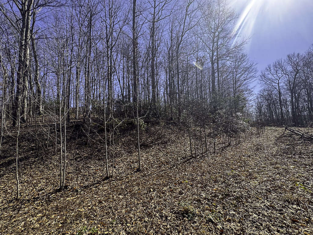 0 Deepwater Rd - 78 Acres in Fayette County, WV - Photo 12