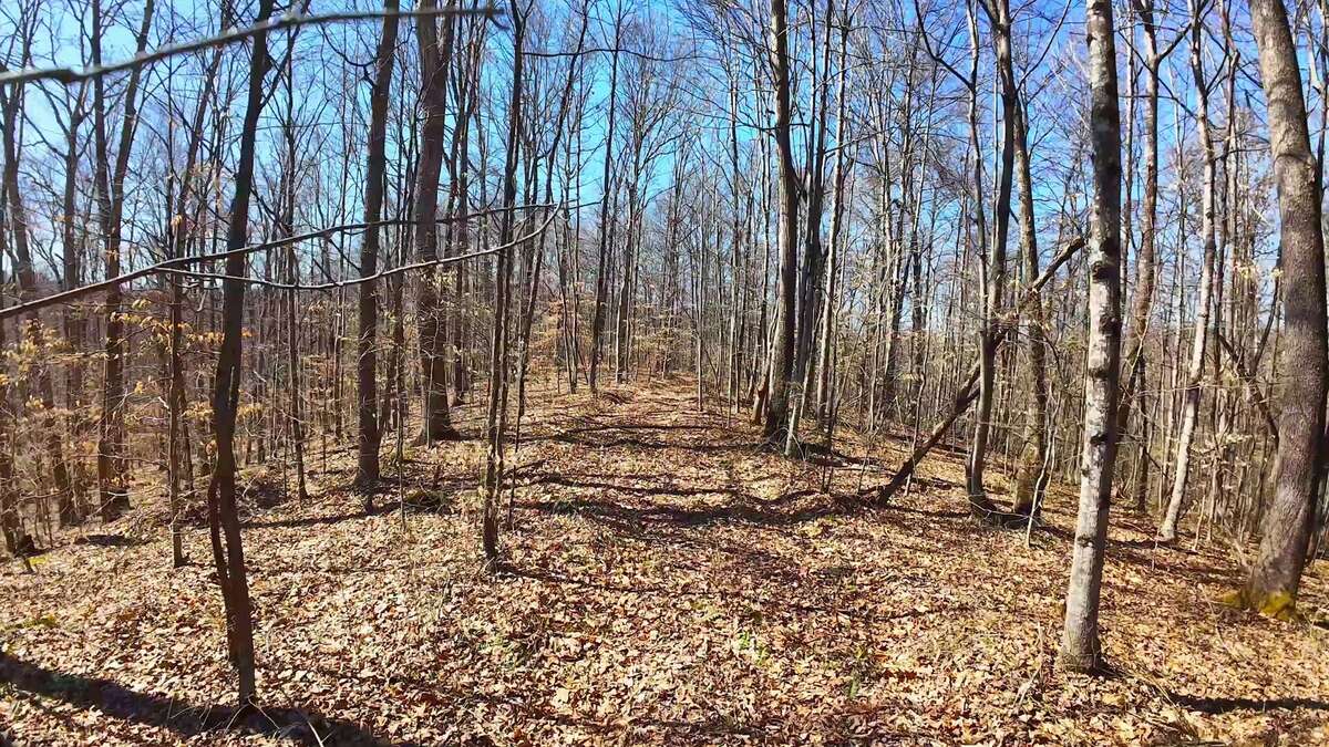 0 Deepwater Rd - 78 Acres in Fayette County, WV - Photo 14