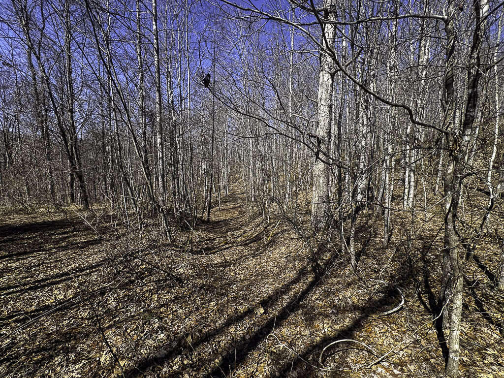 0 Deepwater Rd - 78 Acres in Fayette County, WV - Photo 15