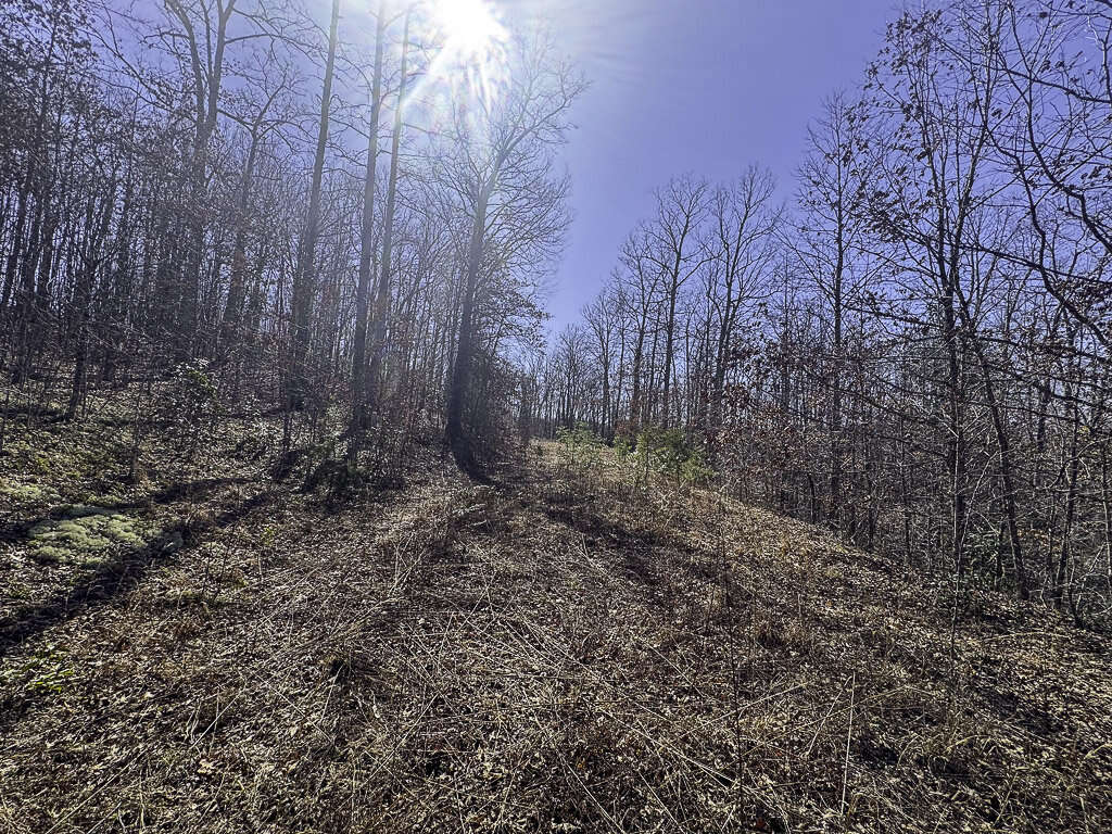 0 Deepwater Rd - 78 Acres in Fayette County, WV - Photo 16