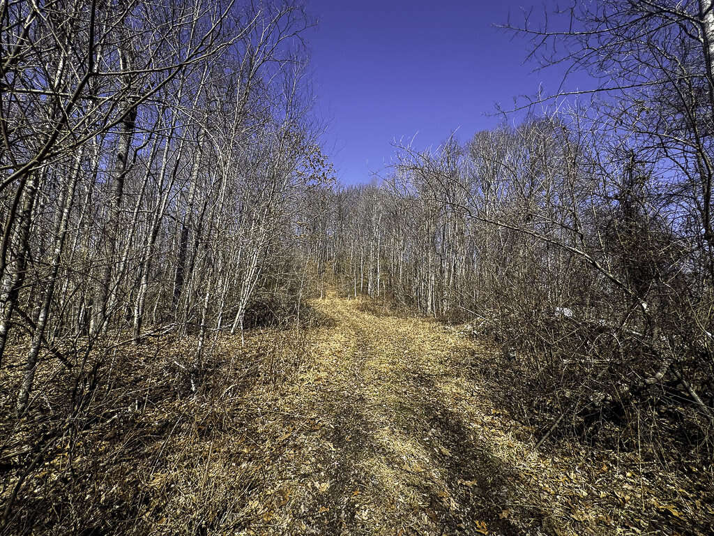 0 Deepwater Rd - 78 Acres in Fayette County, WV - Photo 17