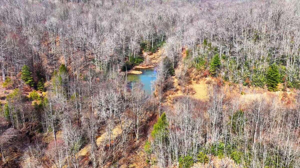 0 Deepwater Rd - 78 Acres in Fayette County, WV - Photo 23