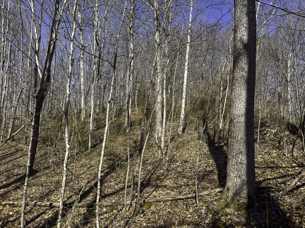 0 Deepwater Rd - 78 Acres in Fayette County, WV - Photo 4