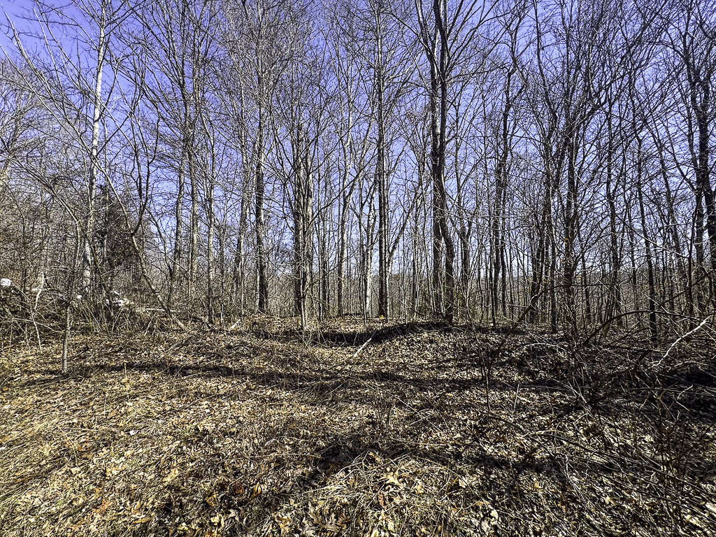 0 Deepwater Rd - 78 Acres in Fayette County, WV - Photo 6