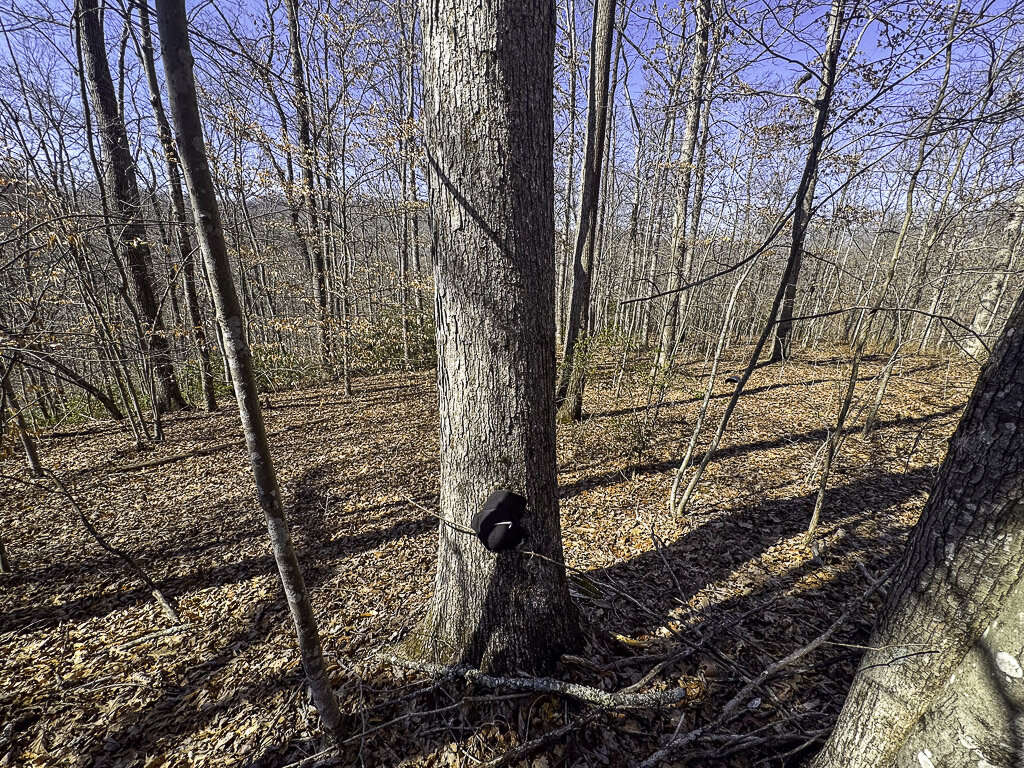 0 Deepwater Rd - 78 Acres in Fayette County, WV - Photo 8