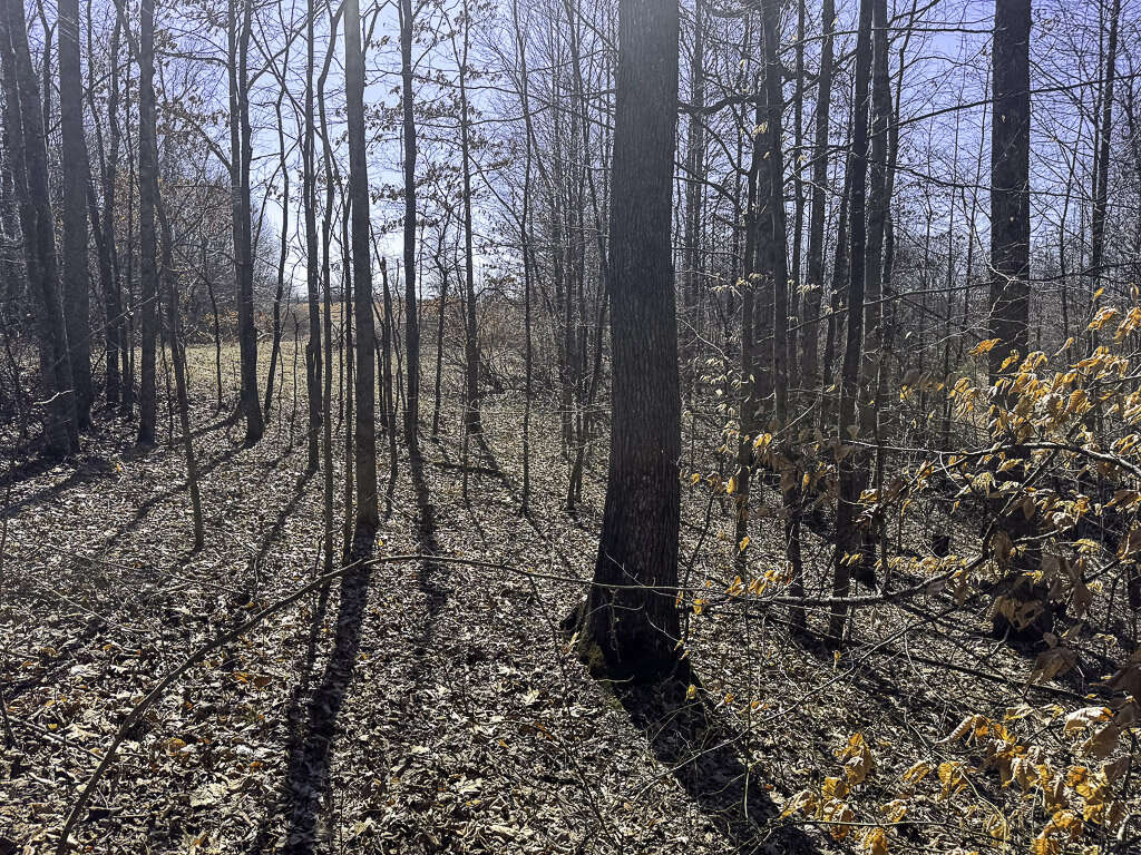 0 Deepwater Rd - 78 Acres in Fayette County, WV - Photo 9