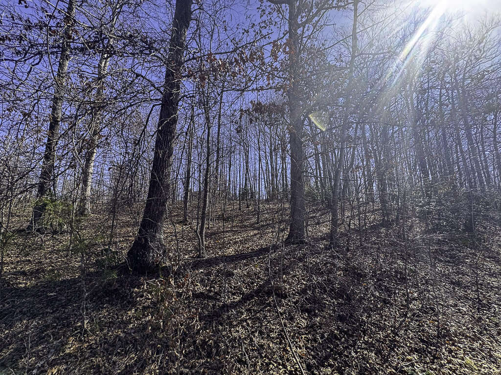 0 Deepwater Rd - 78 Acres in Fayette County, WV - Photo 10