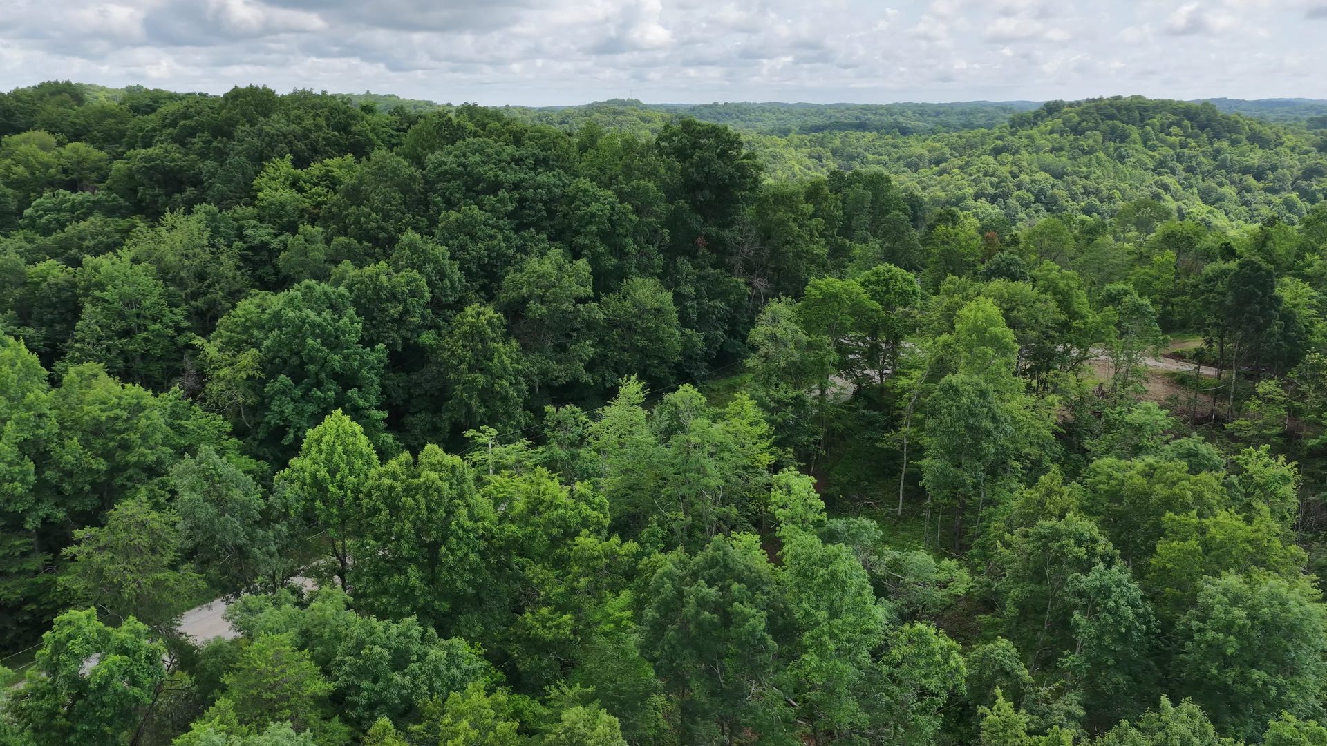 8 Acres with Road Frontage in Washington County, OH - Shay Ridge Road Tract 1 - Photo 11