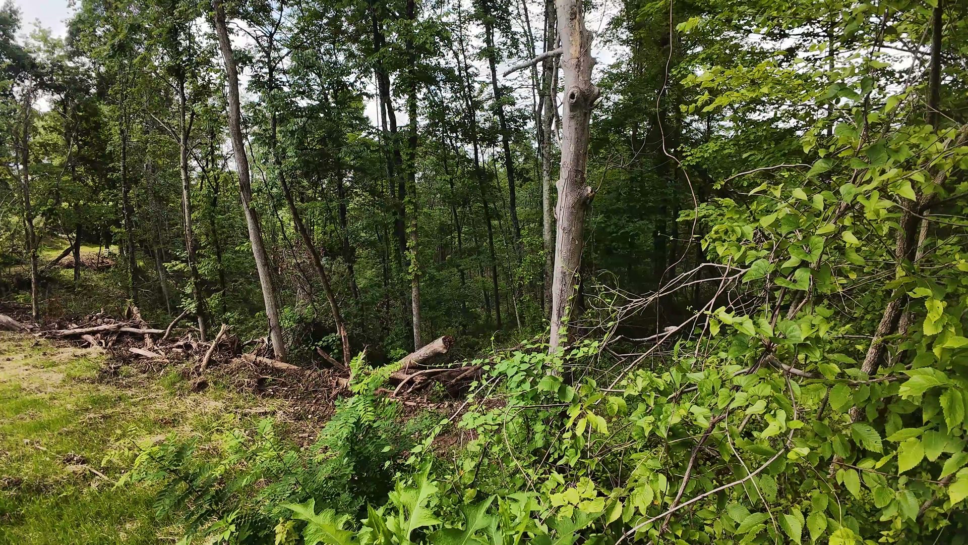 8 Acres with Road Frontage in Washington County, OH - Shay Ridge Road Tract 1 - Photo 12