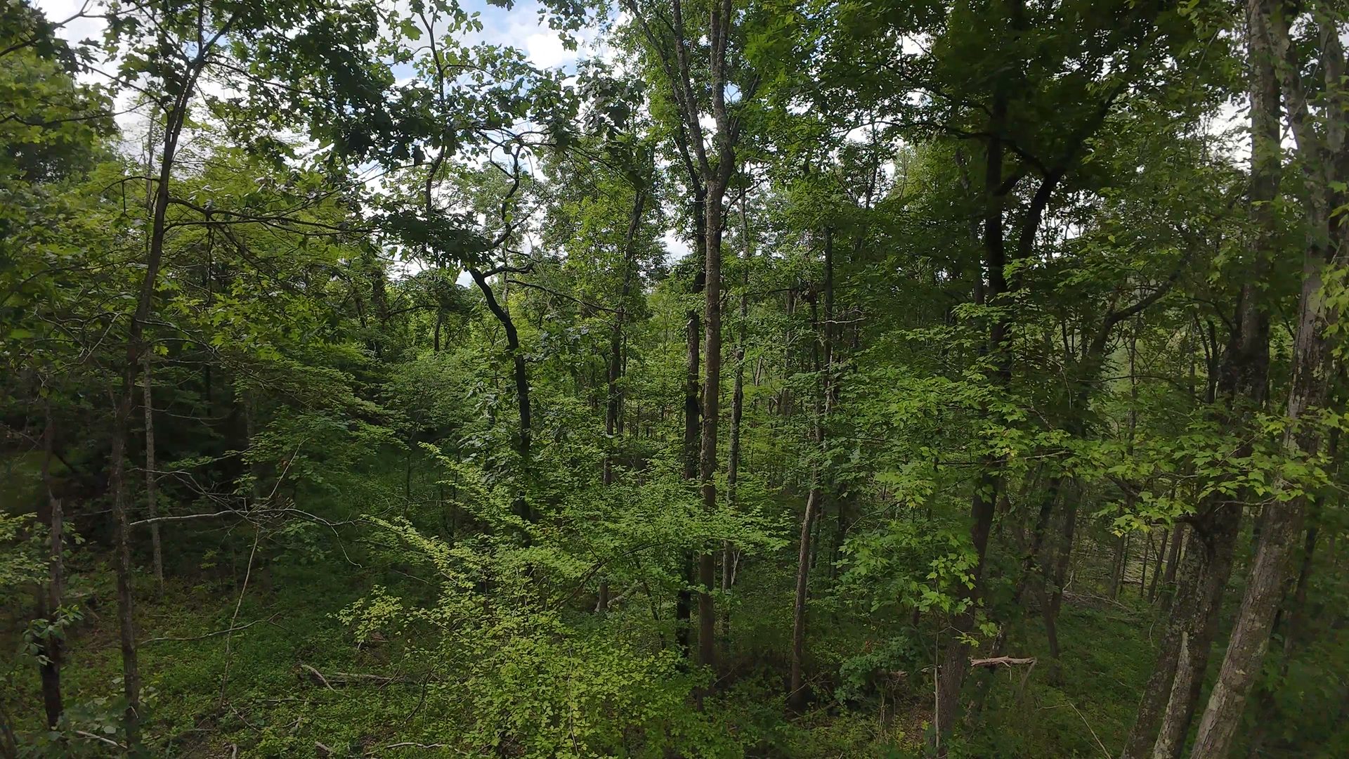 8 Acres with Road Frontage in Washington County, OH - Shay Ridge Road Tract 1 - Photo 13