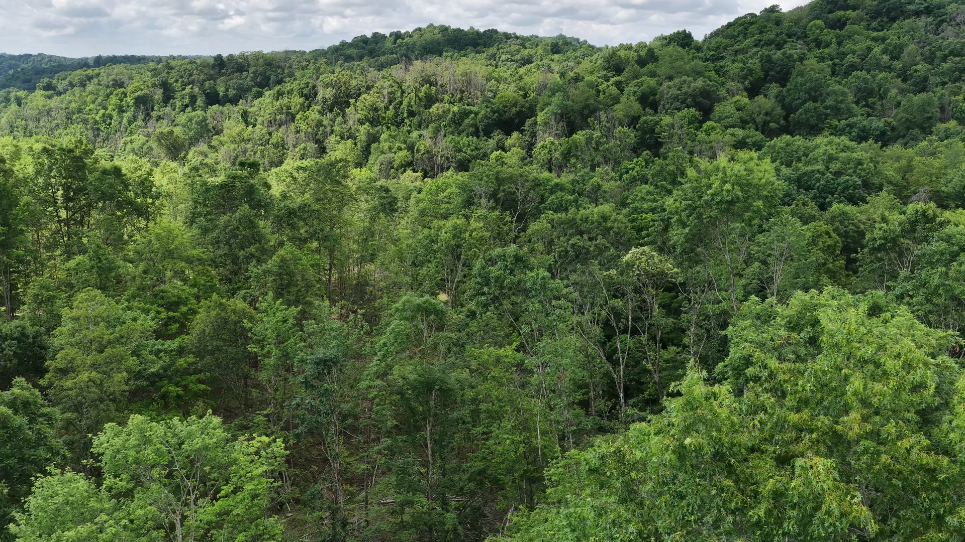 8 Acres with Road Frontage in Washington County, OH - Shay Ridge Road Tract 1 - Photo 15