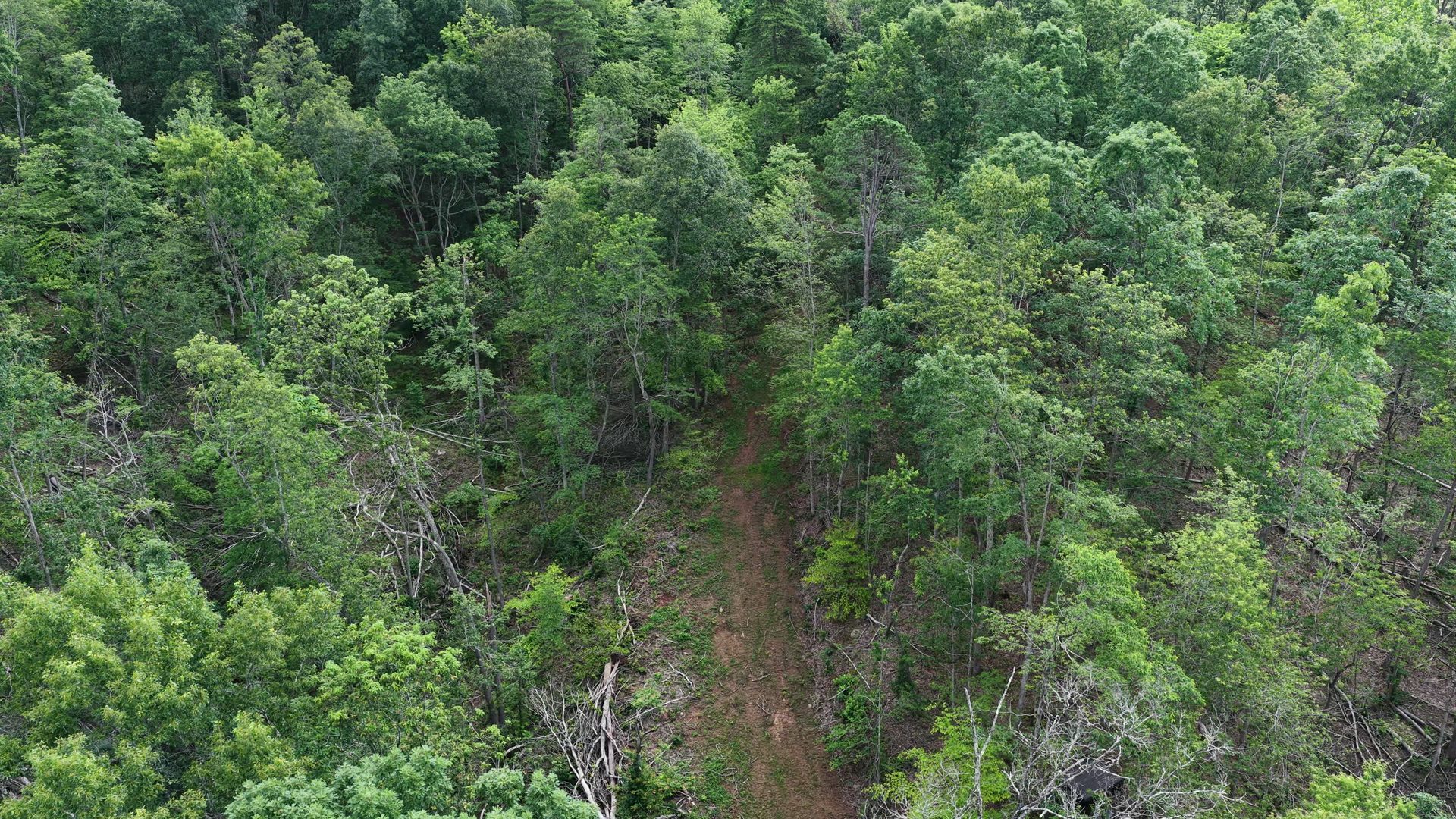 8 Acres with Road Frontage in Washington County, OH - Shay Ridge Road Tract 1 - Photo 16