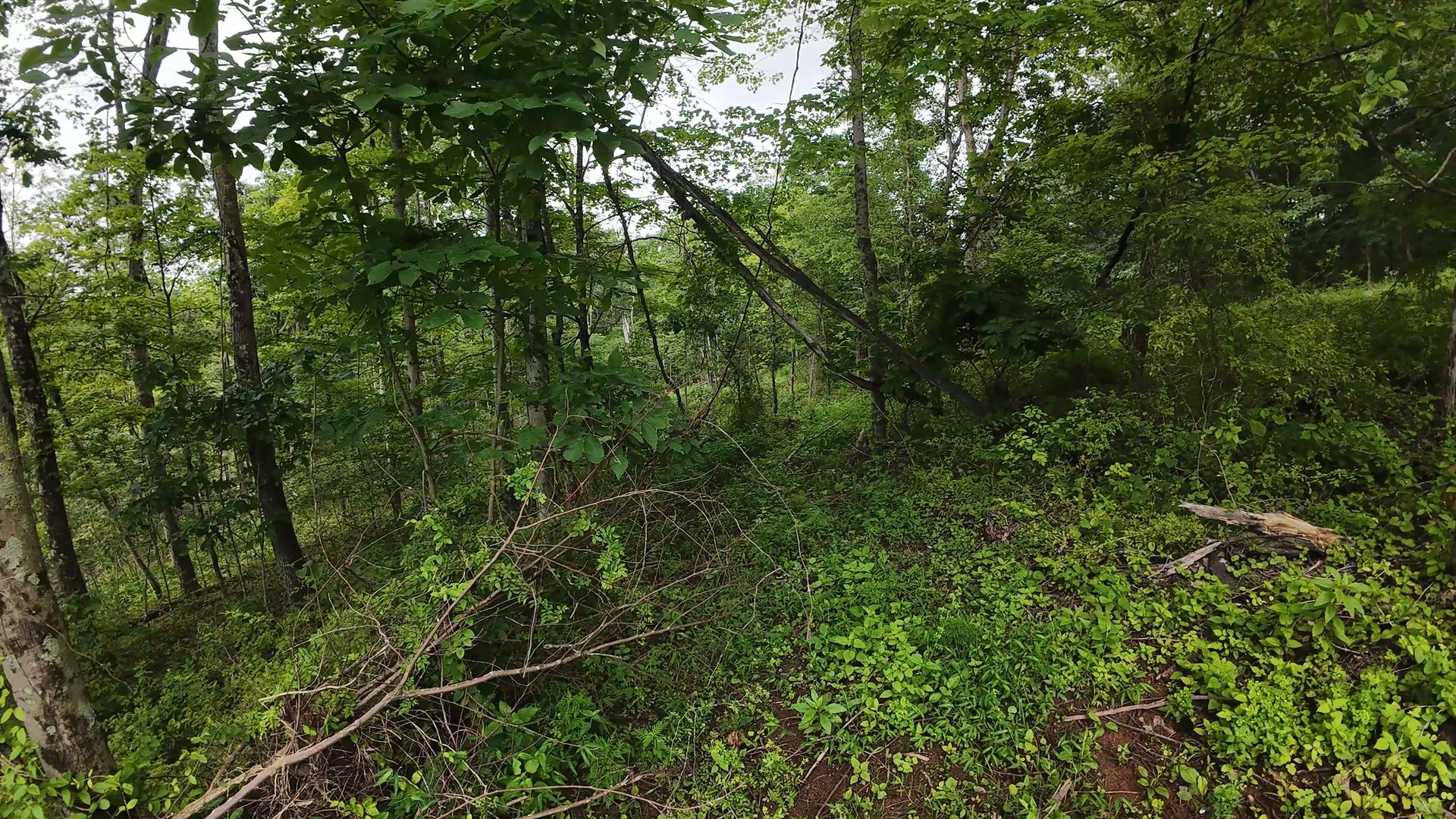 8 Acres with Road Frontage in Washington County, OH - Shay Ridge Road Tract 1 - Photo 20
