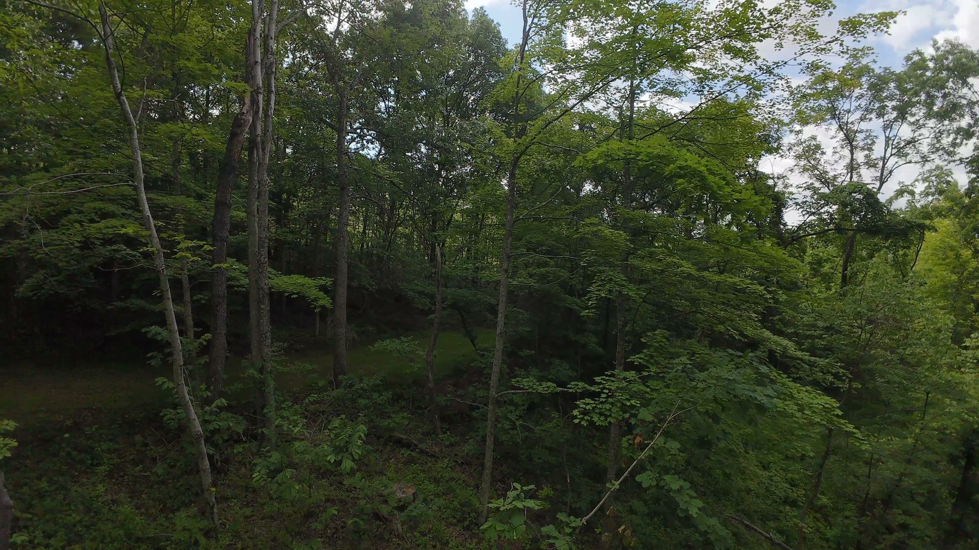 8 Acres with Road Frontage in Washington County, OH - Shay Ridge Road Tract 1 - Photo 21