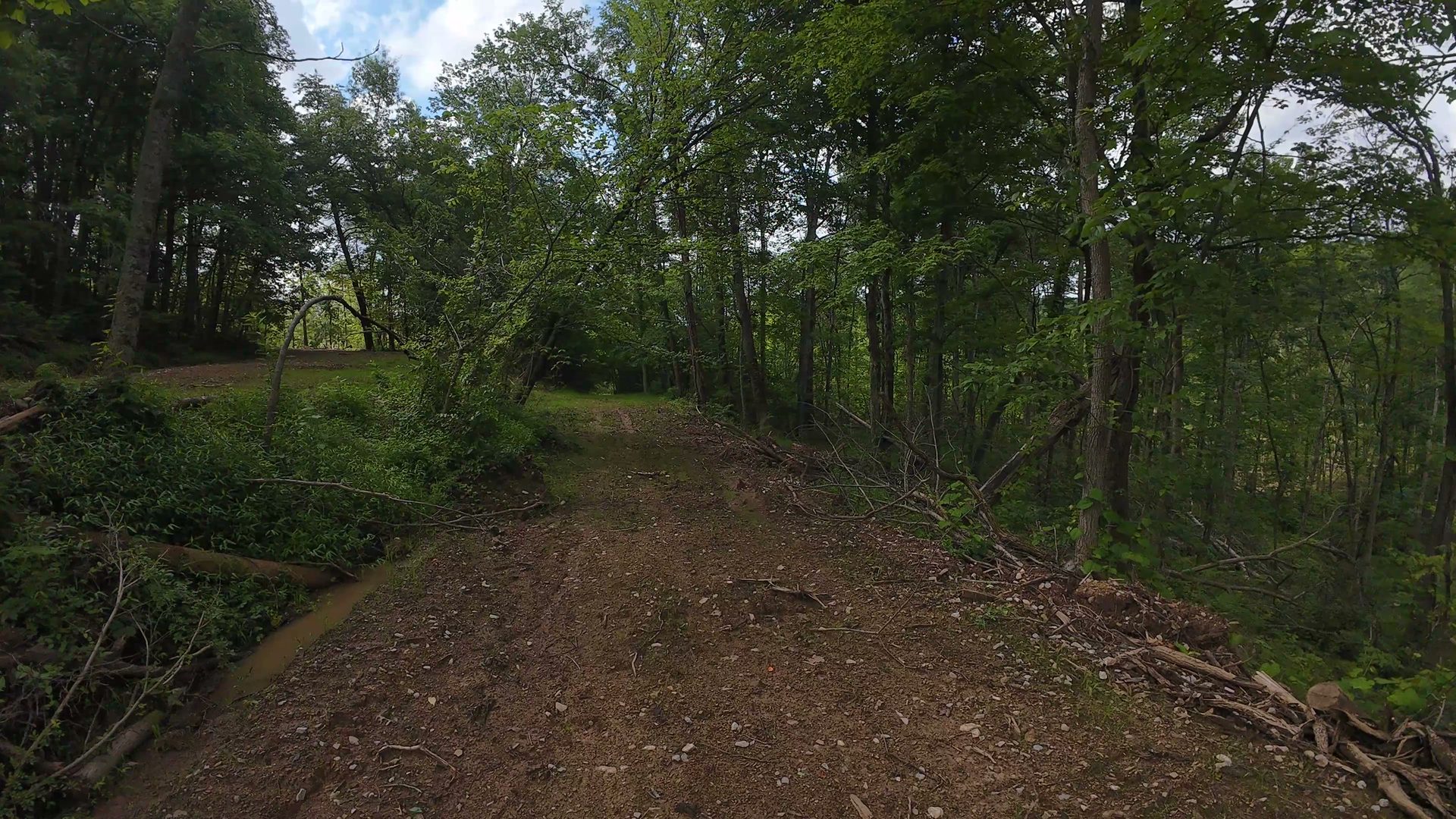 8 Acres with Road Frontage in Washington County, OH - Shay Ridge Road Tract 1 - Photo 22