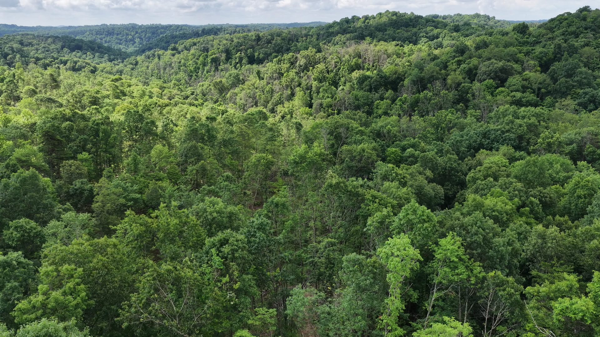 8 Acres with Road Frontage in Washington County, OH - Shay Ridge Road Tract 1 - Photo 4