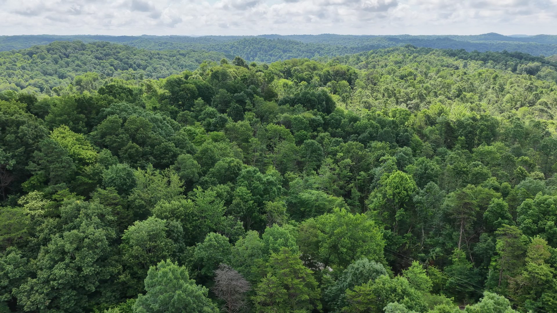 8 Acres with Road Frontage in Washington County, OH - Shay Ridge Road Tract 1 - Photo 5