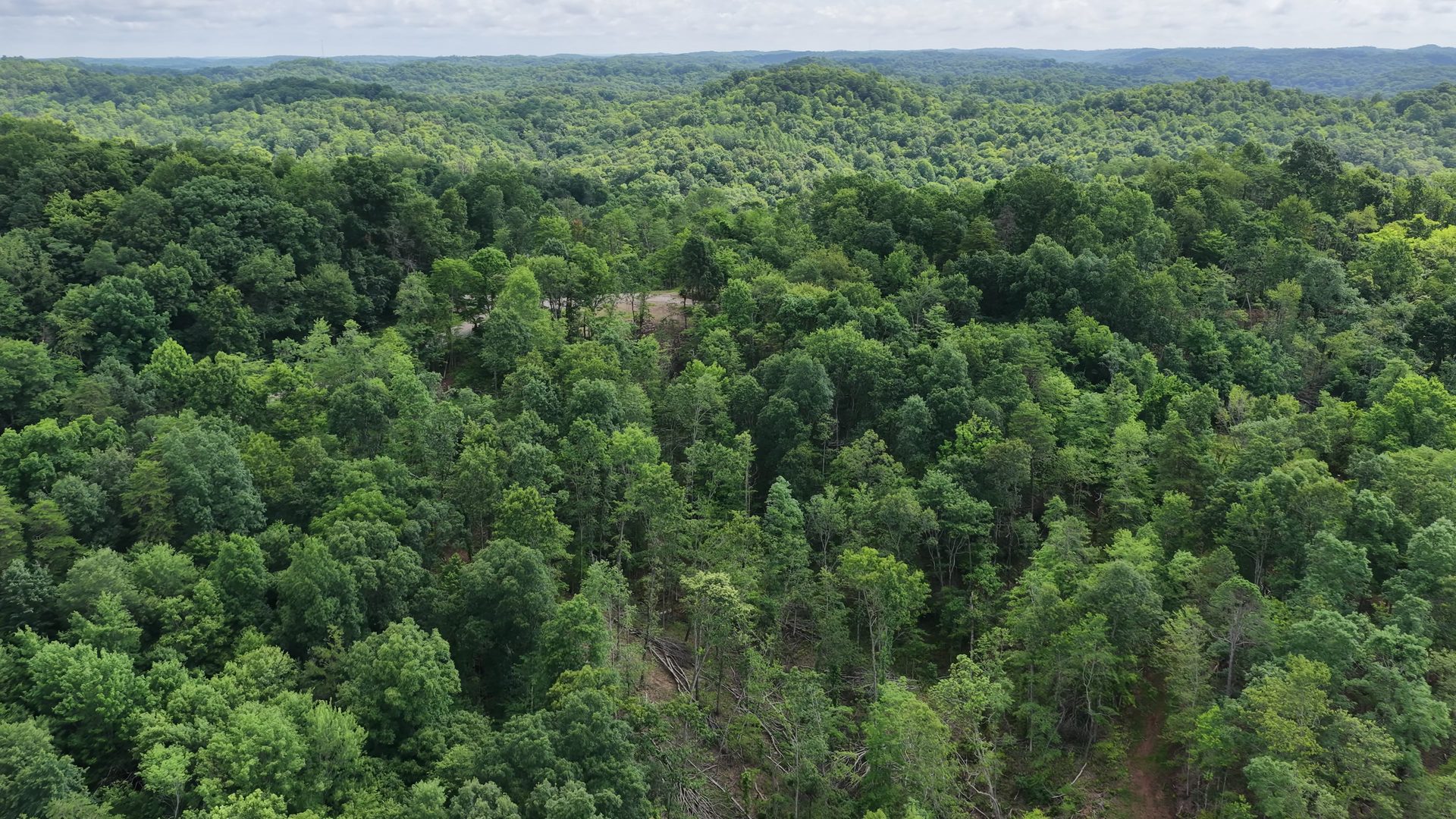 8 Acres with Road Frontage in Washington County, OH - Shay Ridge Road Tract 1 - Photo 9